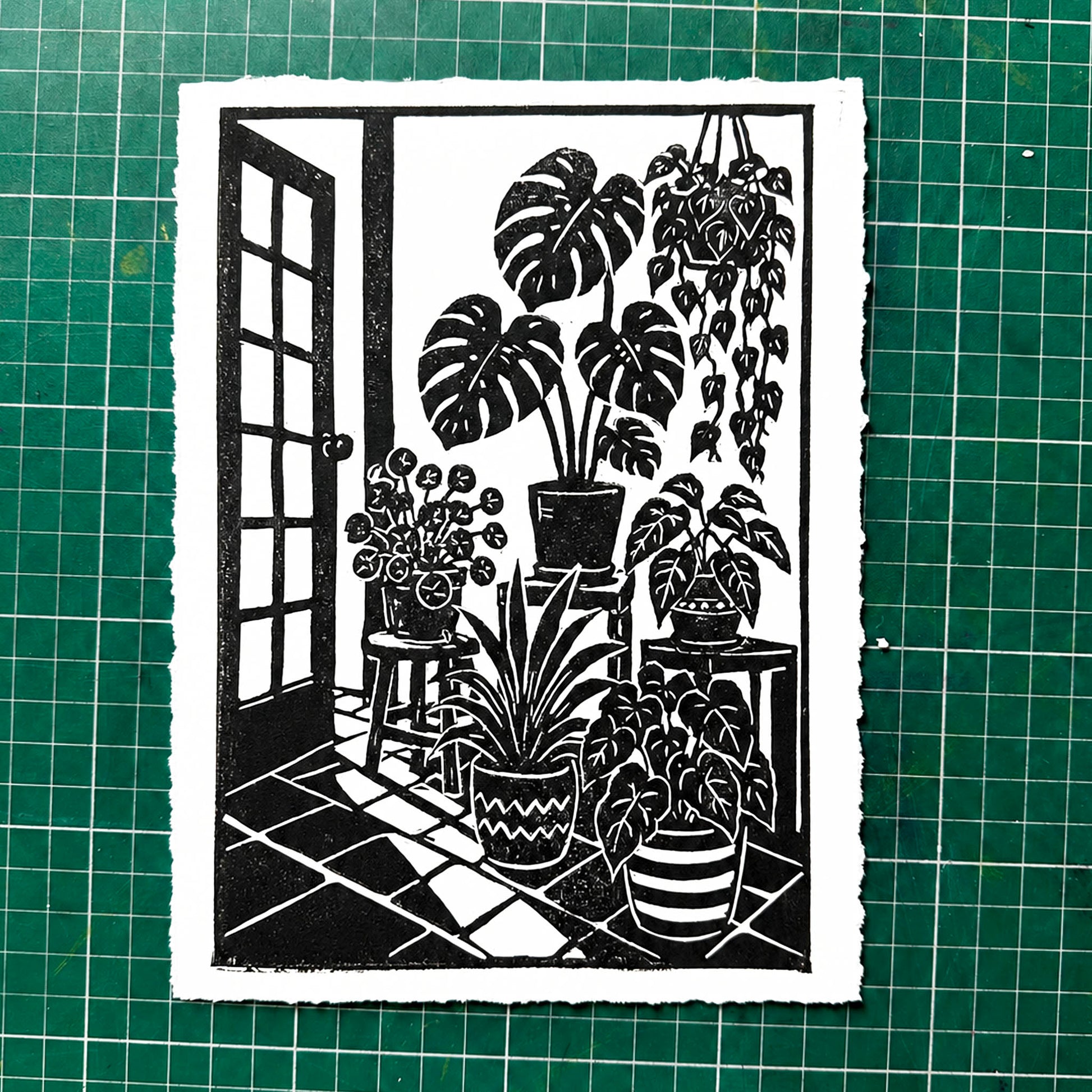 September 2026 Sevens - Hello hello plants